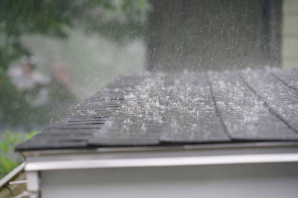 Best Roof Insulation Installation  in Cary, NC
