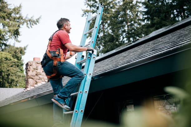 Best 4 Ply Roofing  in Cary, NC